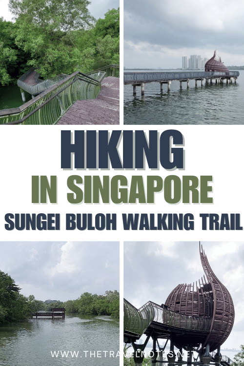 Hiking in Singapore Exploring Nature in Sungei Buloh Reserve