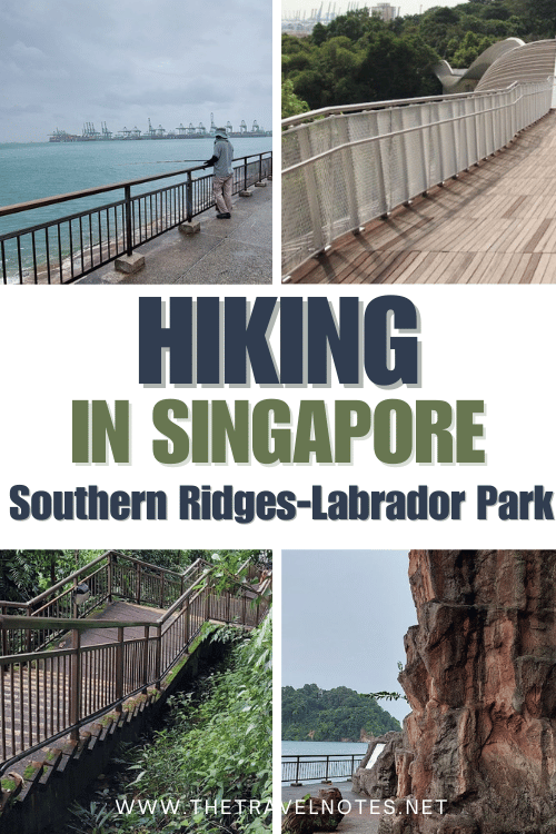 Hiking in Singapore From Southern Ridges to Labrador Park