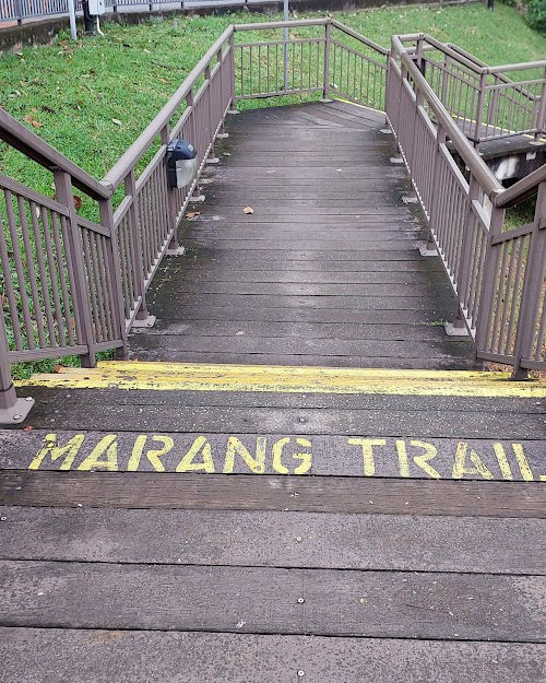 Hiking in Singapore