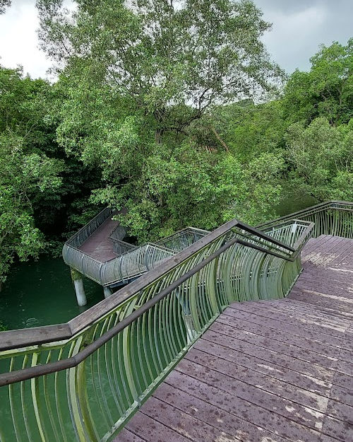  sungei buloh singapore hiking nature