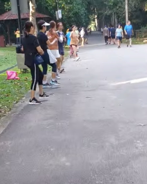 adults doing exercises in the park