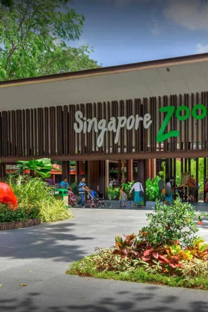 26 Great Ideas to Plan What to See in Singapore