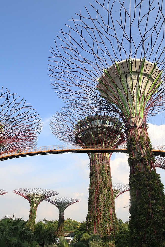 gardens by the bay