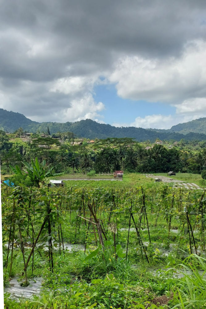 Sidemen hike in Bali