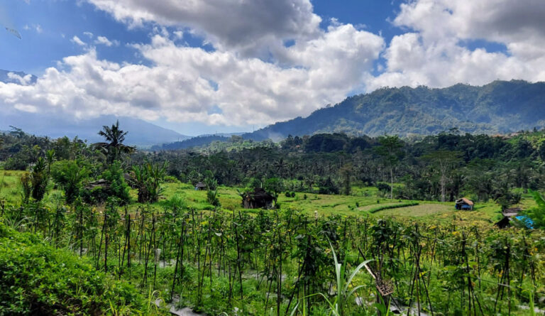 Sidemen Valley Walking Trail: A Peaceful Hike Through Bali’s Rice ...