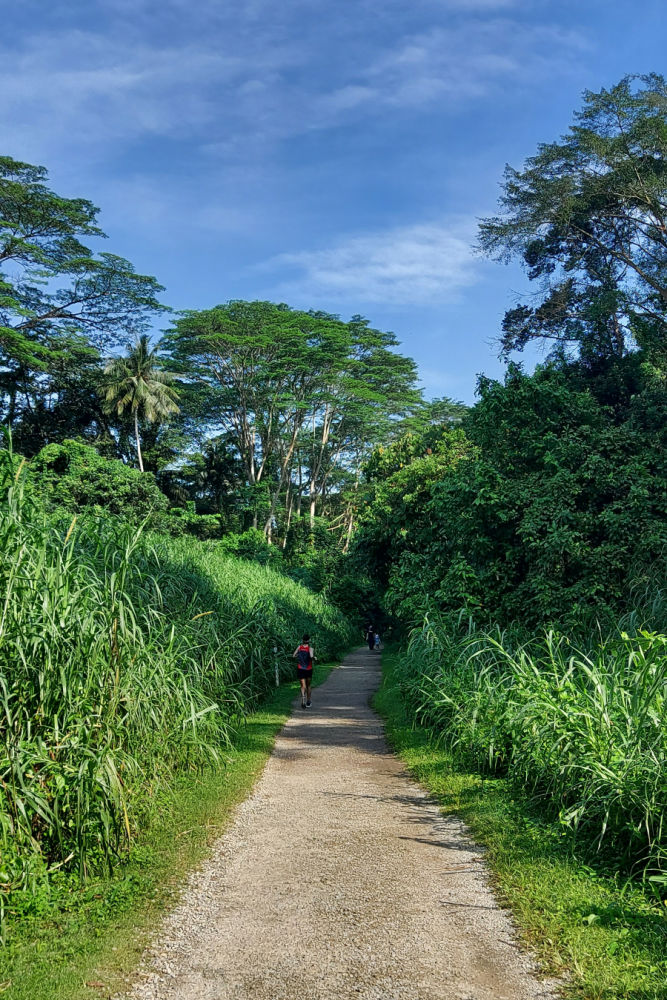 The rail corridor also known as the green corridor