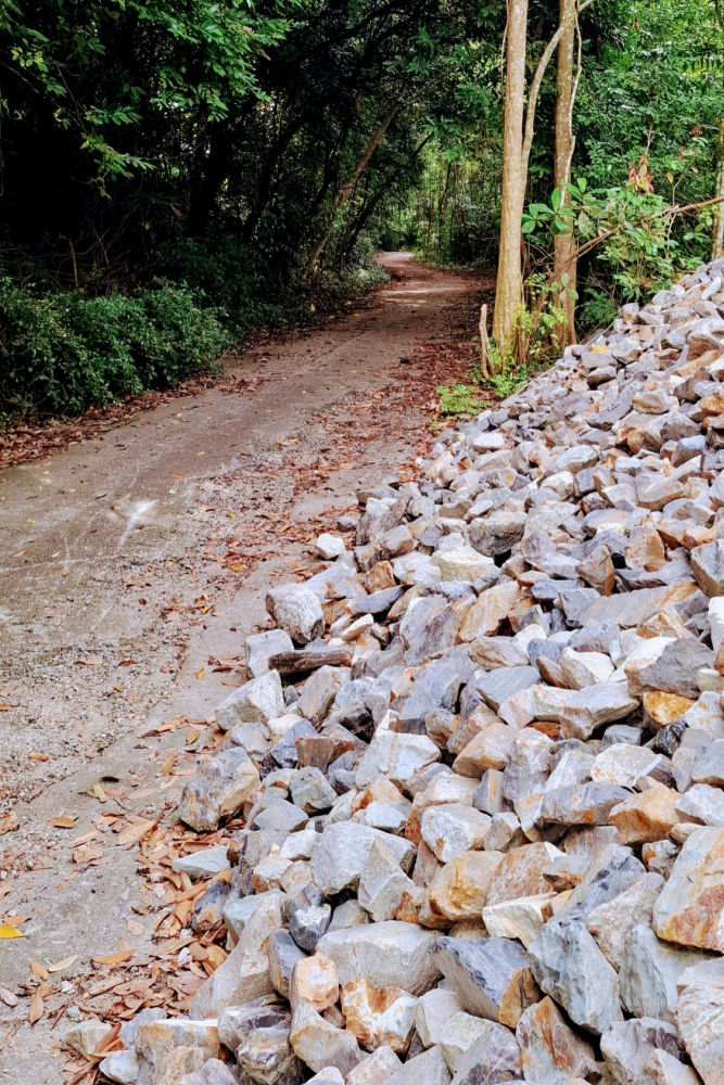 Hiking Bukit Timah Hill to visit the Singapore Quarry across the Rail Corridor-1