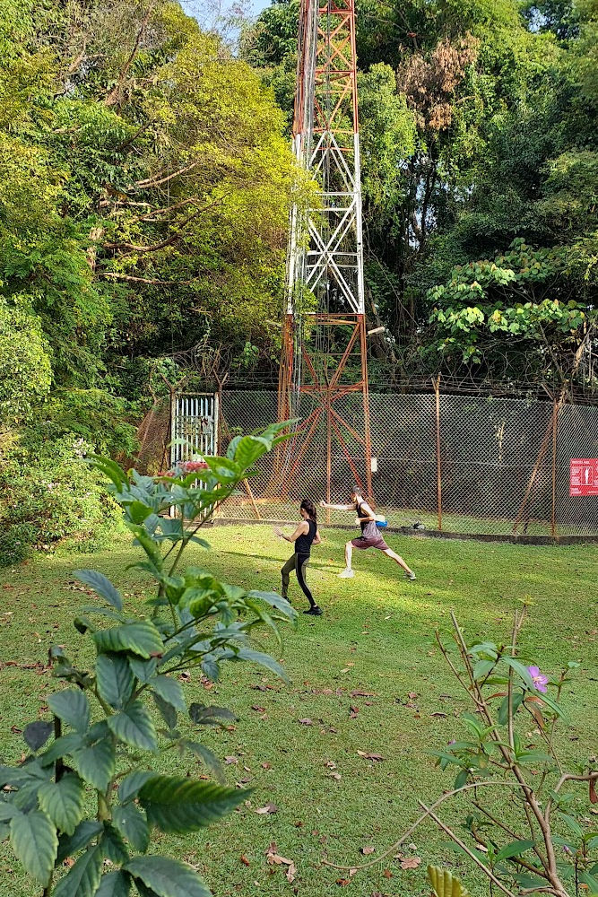 Hiking Bukit Timah Hill to visit the Singapore Quarry across the Rail Corridor-2