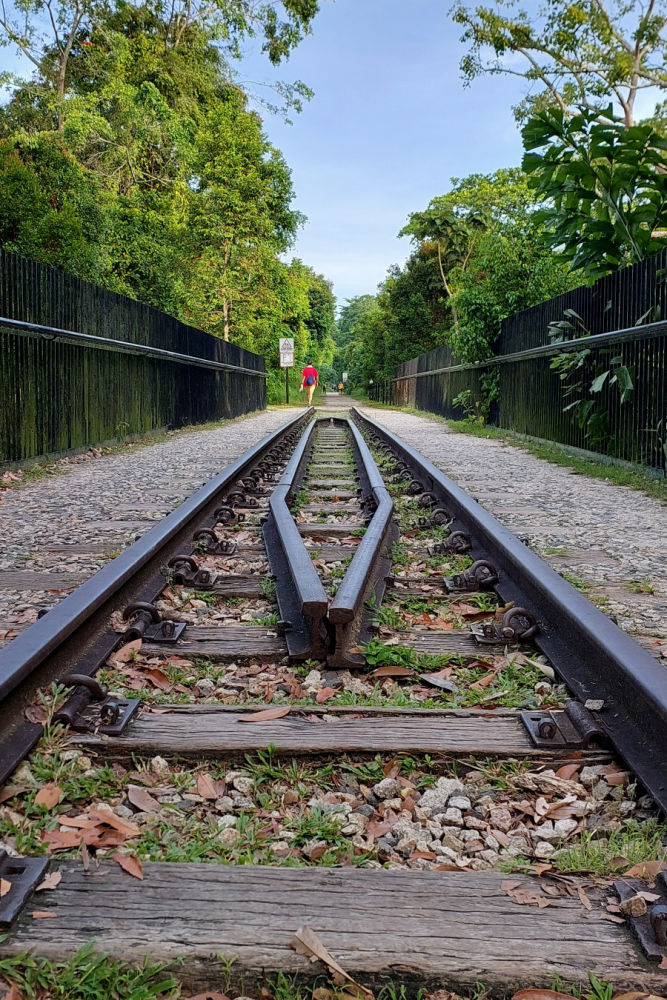 bukit timah railway