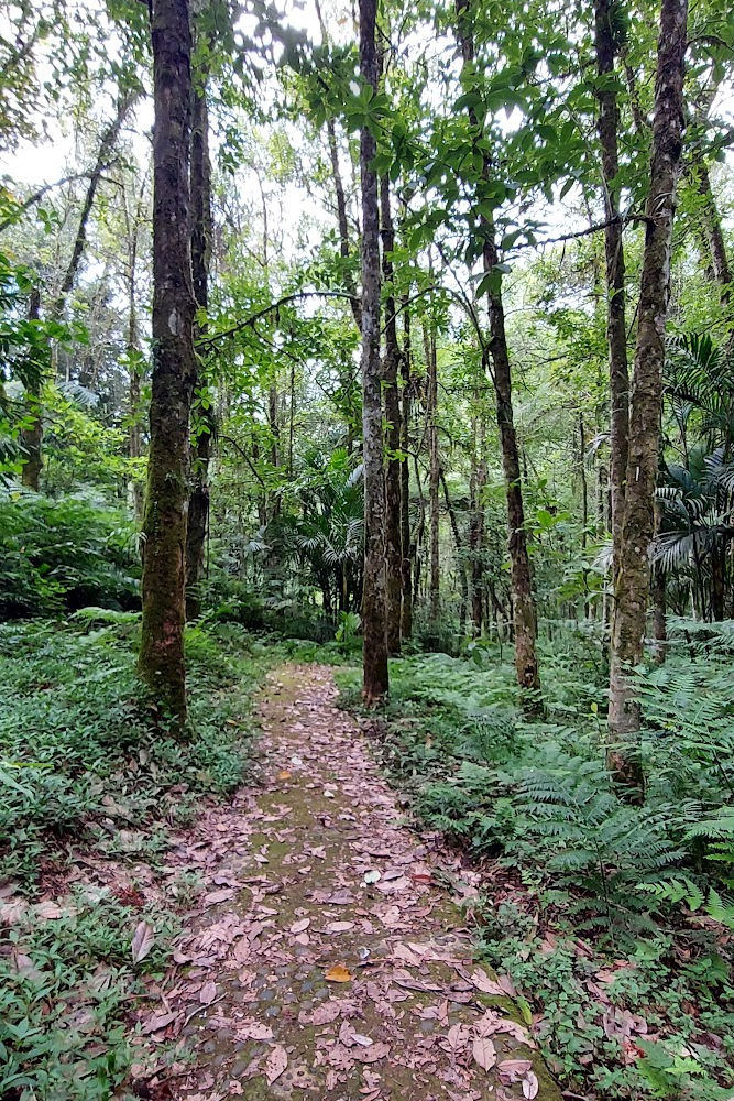 Mount Tapak Bedugul Lake Area- Bali Hike