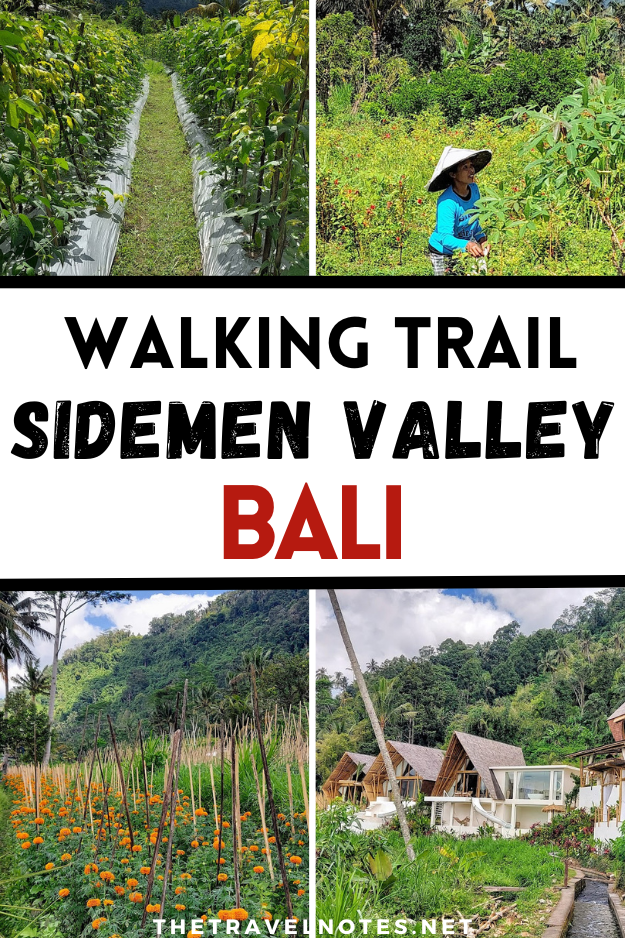 Sidemen Valley Walking Trail in Bali