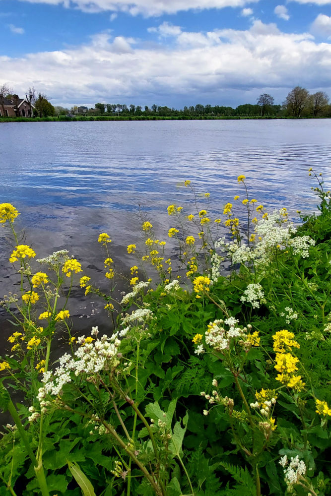 A guide to explore nature in Amsterdam, the river Amstel hike guide