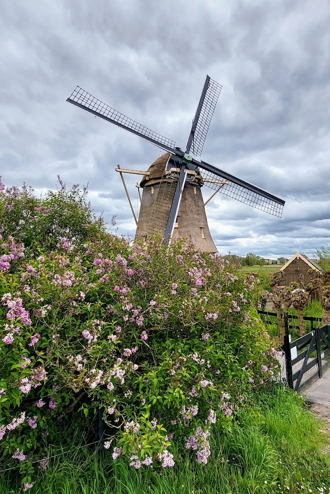 Amsterdam Amstel River Hike-Windmill