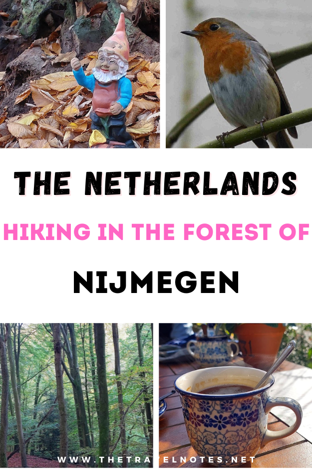 Hiking in the Netherlands – Nijmegen Forest