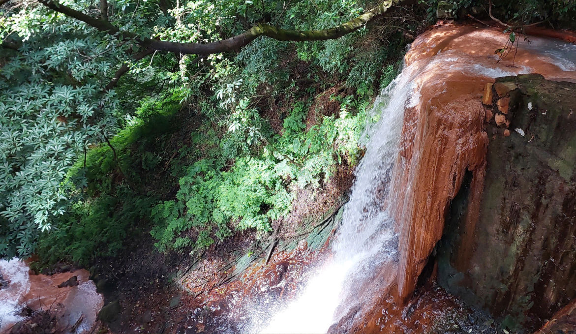 Mount Shamao Hike in Taipei Yangmingshan