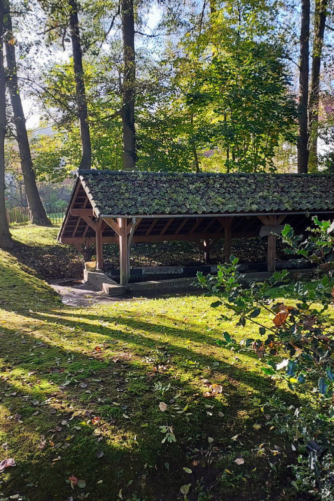 Nijmegen Hike in The Netherland Forest-1