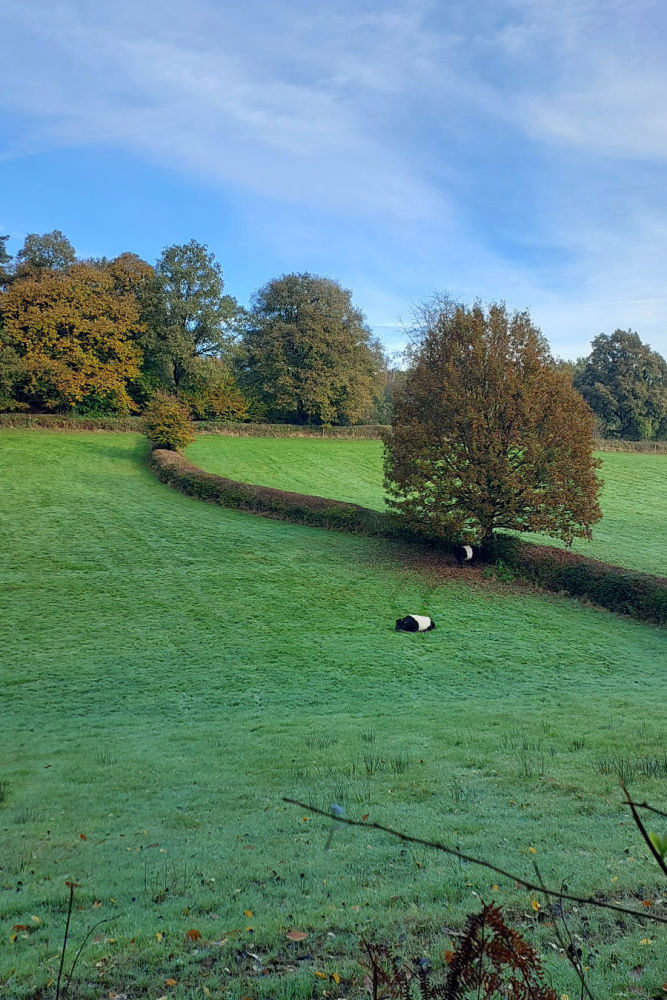 Duivelsberg (Gelderland) hiking