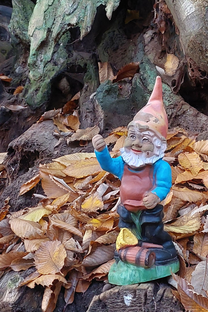 Gnome tree