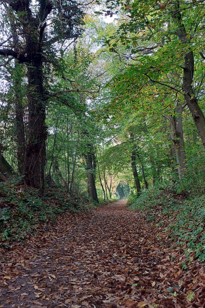 hiking route with map of nijmegen