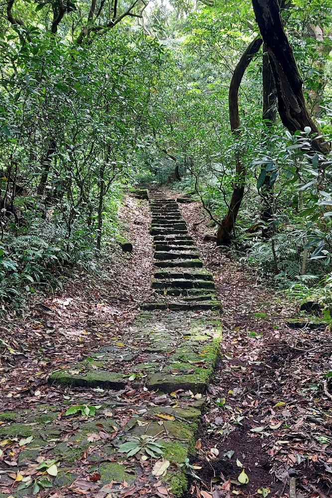 Guide to hike mount shamao in Taiwan Taipei in yangmingshan National Park 