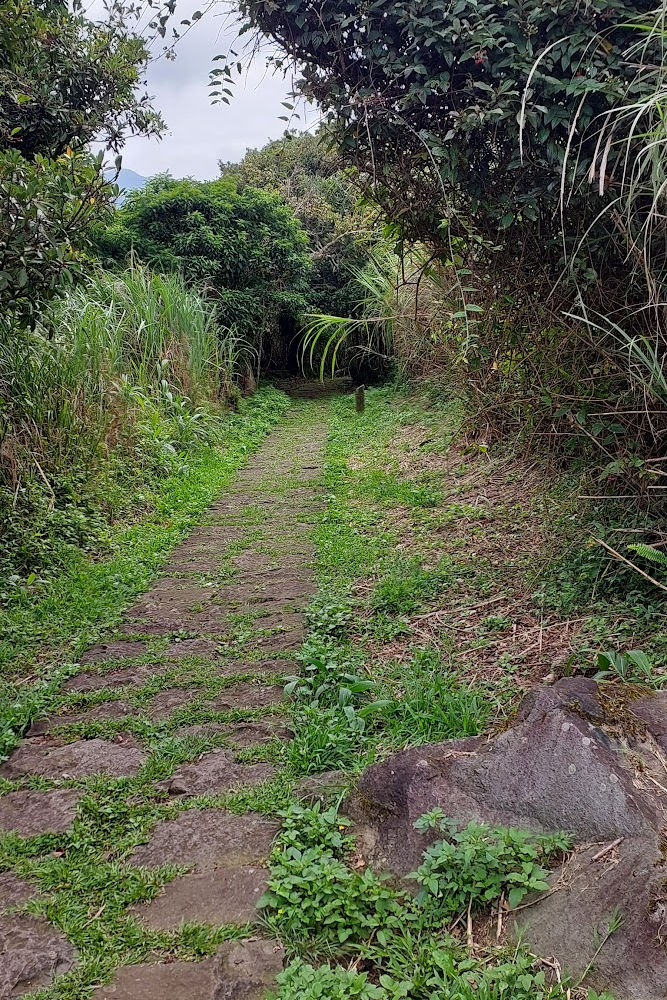 Guide to hike mount shamao in Taiwan Taipei in yangmingshan National Park