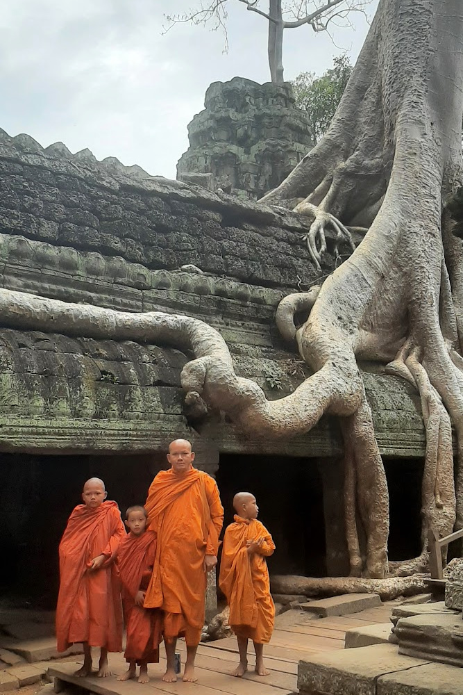 Monks in orange robes at Ta Prohm temple, Angkor Wat, with tree roots blending into ancient stone walls.