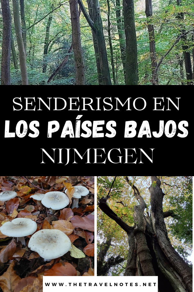 Senderismo en los Países Bajos – Nijmegen