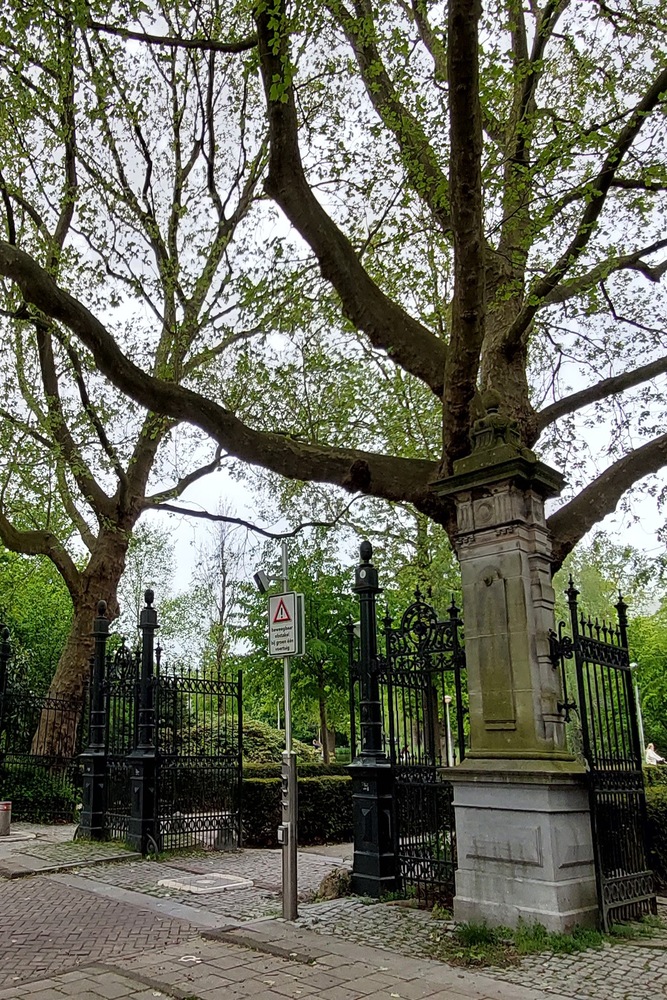 Have a Local Picnic at Vondelpark