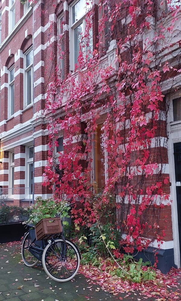Visiting Amsterdam