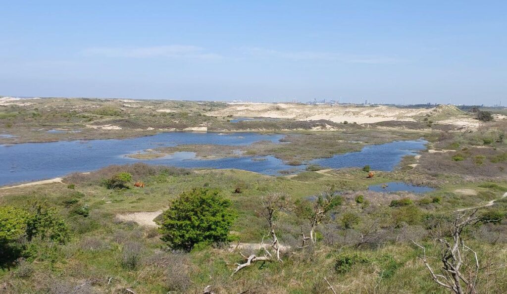 Nationaal Park Zuid-Kennemerland