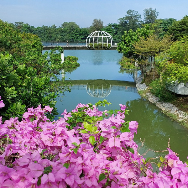 Punggol River