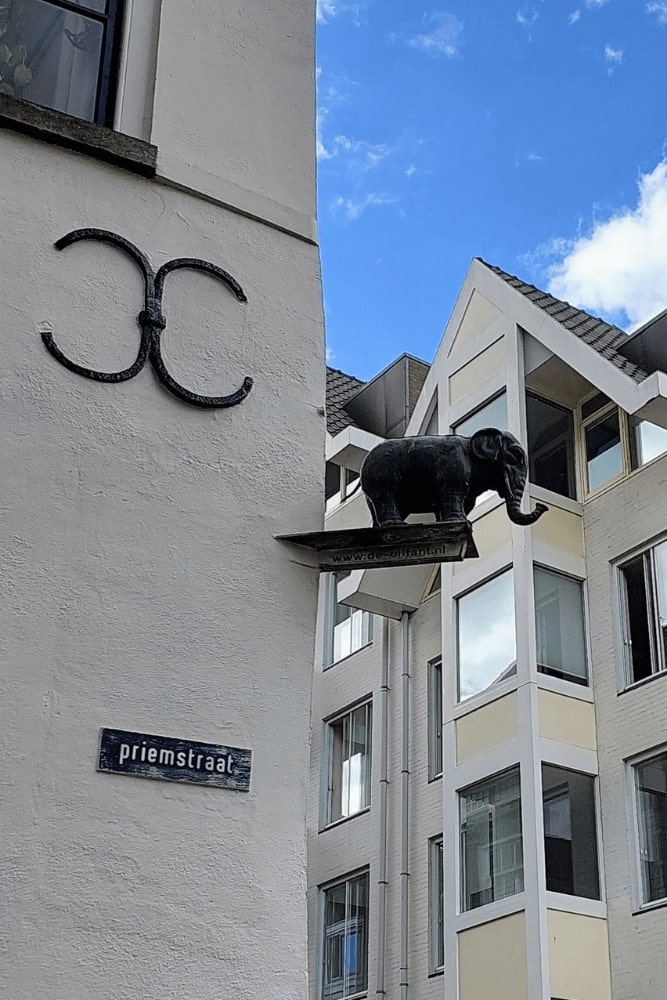The Elephant sculpture on Priemstraat in Nijmegen. Free walking tour Nijmegen