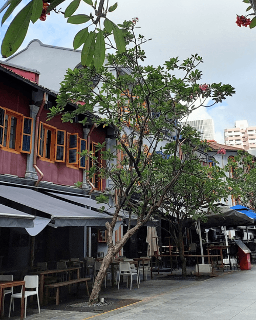 Telok Ayer Street on a Singapore walking tour